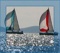 Regatta in der kroatischen Adria – beobachtet von der Küste der Insel Murter (norddalmatinische Inselgruppe) aus mit Blick in Richtung des weltberühmten Kornati Archipels. --- Copyright: www.sif.at